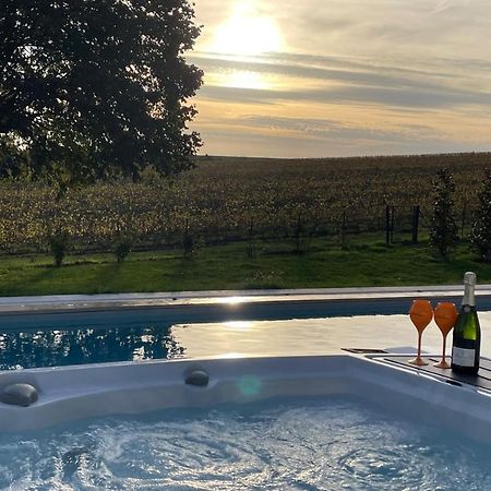 Best View, Pool And Spa On The Champagne Vineyard Saint-Thierry Esterno foto