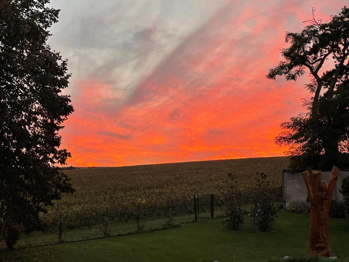 Best View, Pool And Spa On The Champagne Vineyard Saint-Thierry Esterno foto