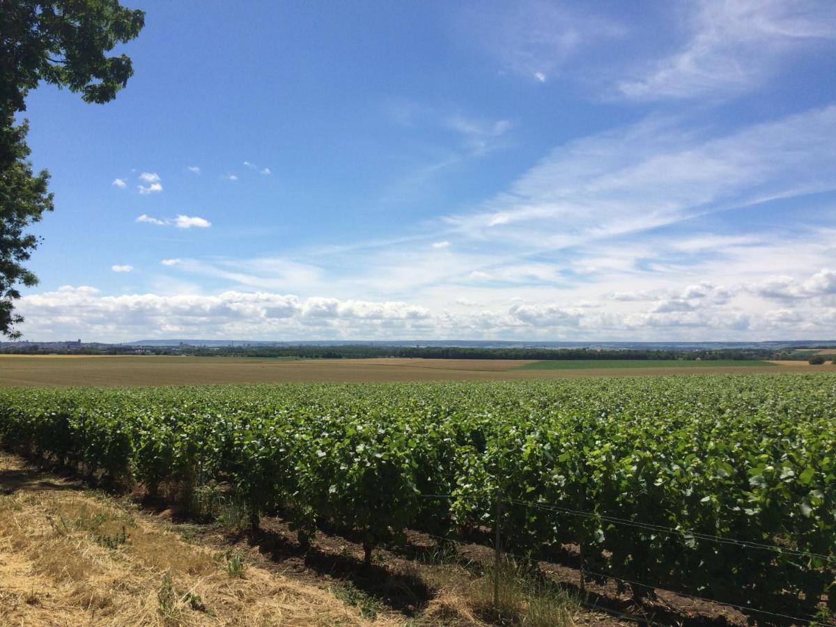 Best View, Pool And Spa On The Champagne Vineyard Saint-Thierry Esterno foto