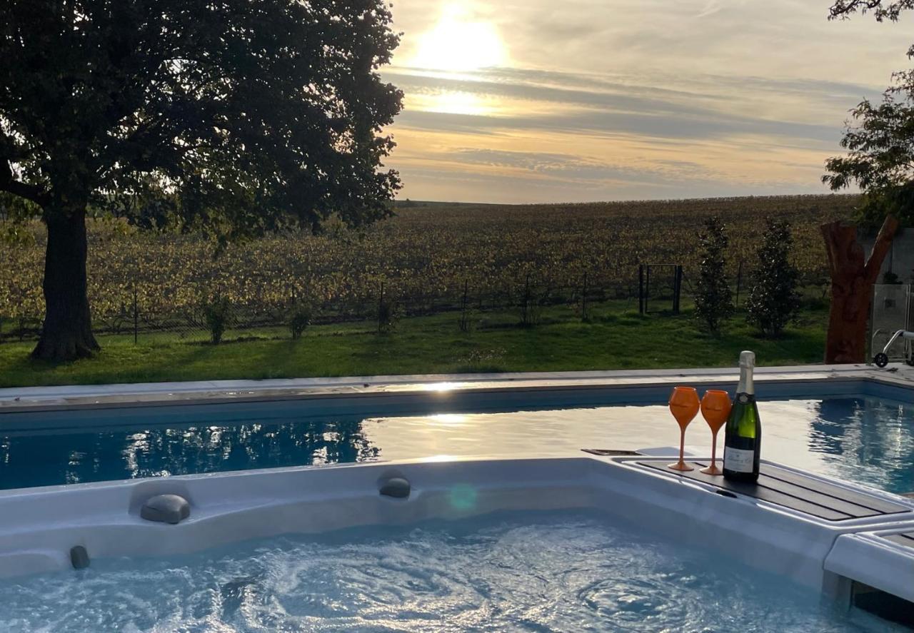 Best View, Pool And Spa On The Champagne Vineyard Saint-Thierry Esterno foto