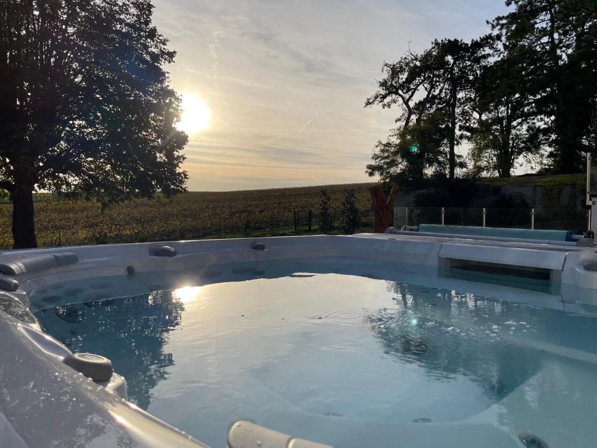 Best View, Pool And Spa On The Champagne Vineyard Saint-Thierry Esterno foto