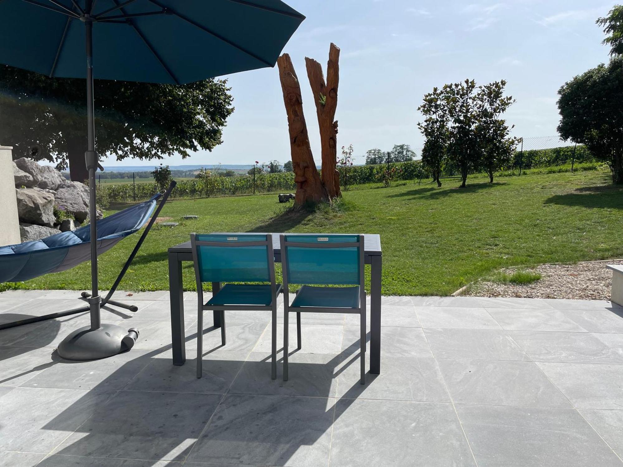 Best View, Pool And Spa On The Champagne Vineyard Saint-Thierry Esterno foto